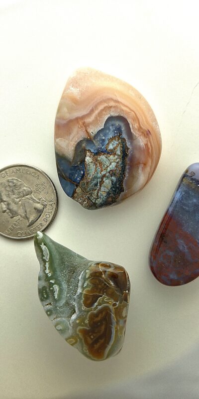 Fall Magnet 3-Pack #11