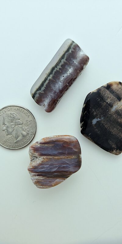 Fall Magnet 3-Pack #13