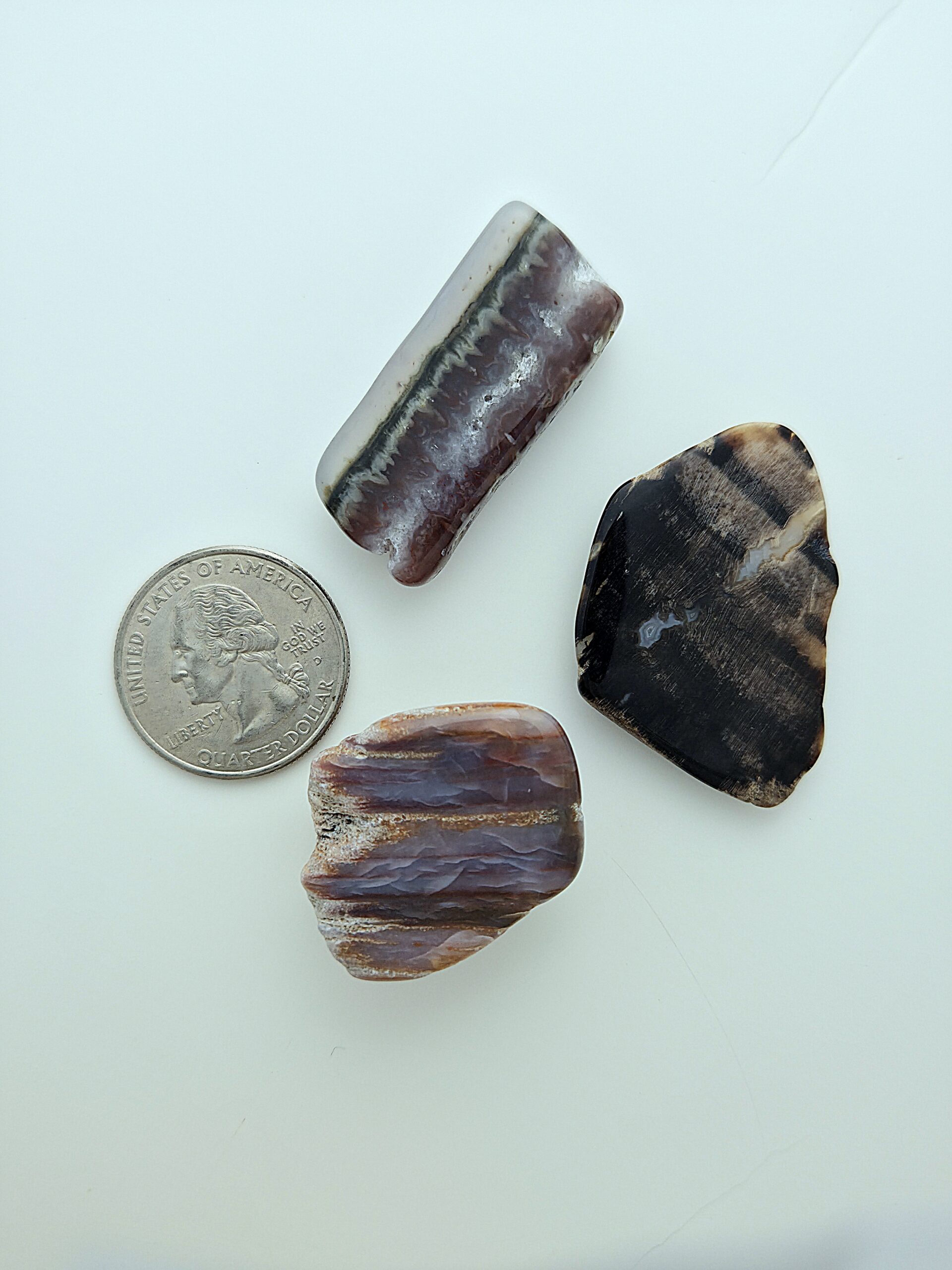 Fall Magnet 3-Pack #13