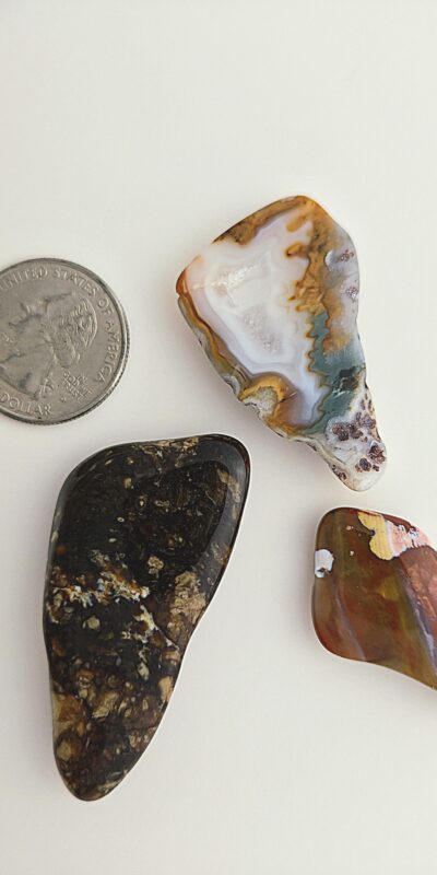 Fall Magnet 3-Pack #1