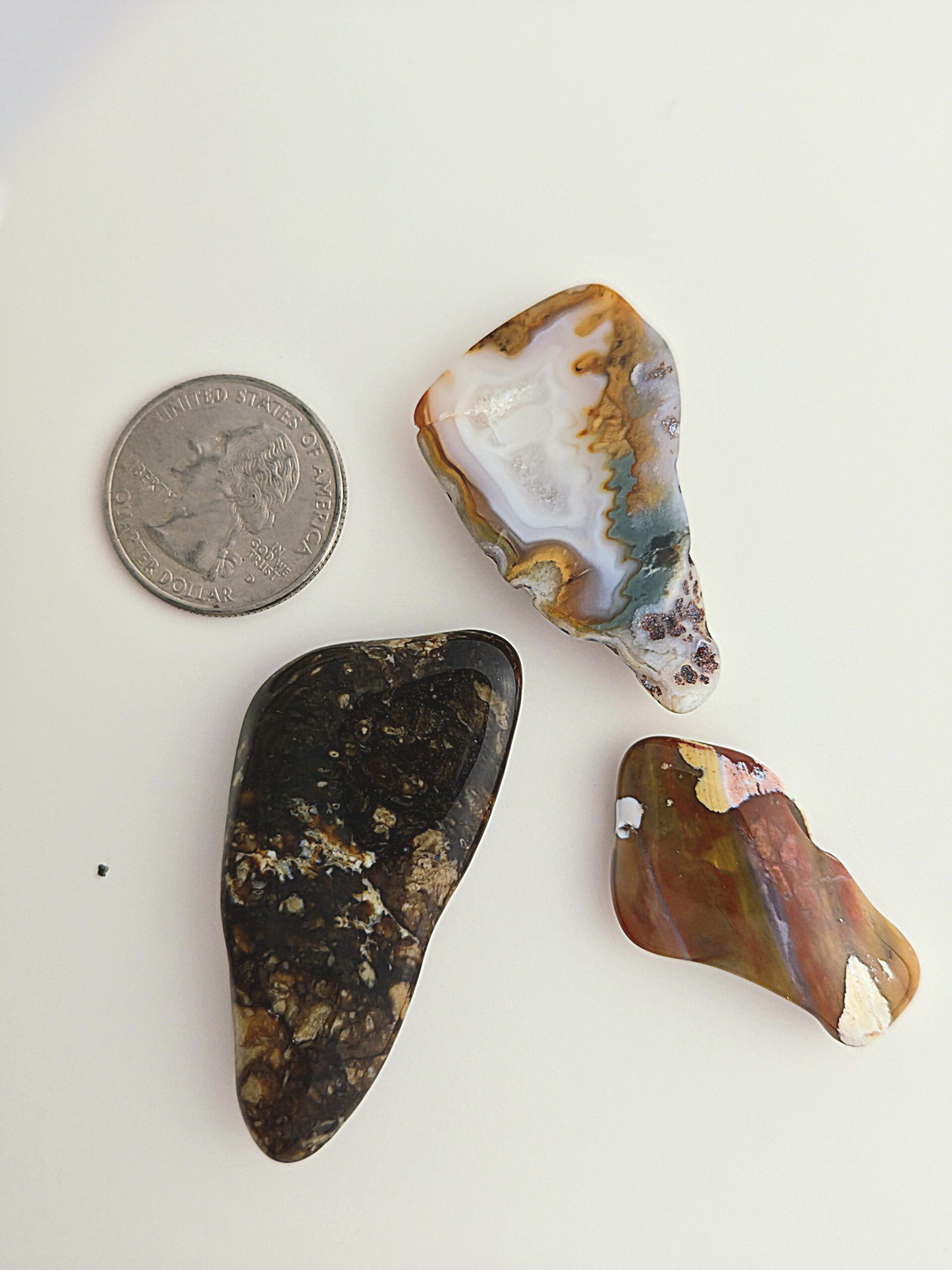 Fall Magnet 3-Pack #1