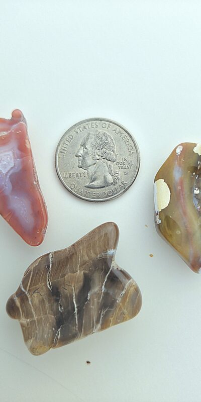 Fall Magnet 3-Pack #16