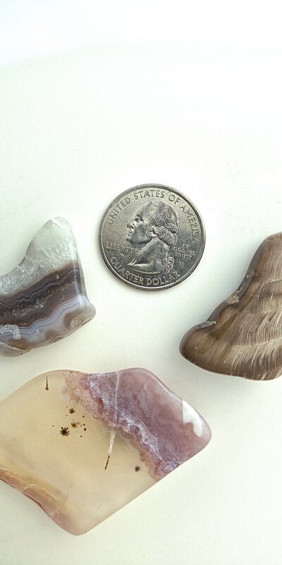 Fall Magnet 3-Pack #15