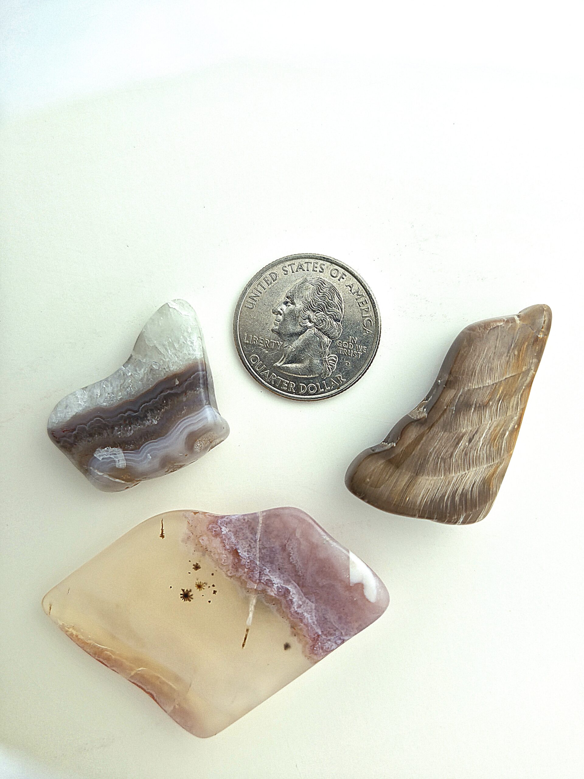 Fall Magnet 3-Pack #15