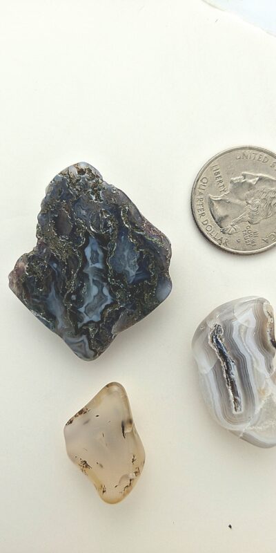 Fall Magnet 3-Pack #9