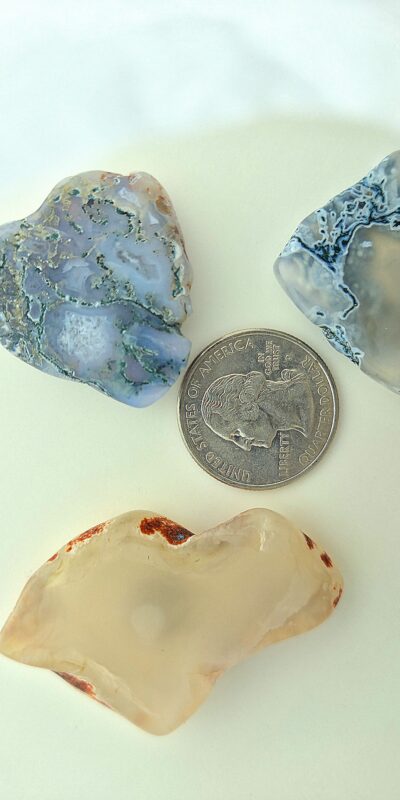 Fall Magnet 3-Pack #10