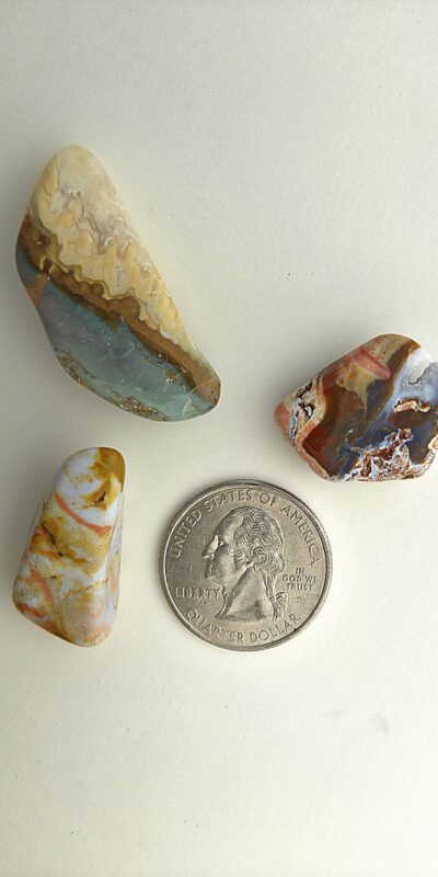 Fall Magnet 3-Pack #14