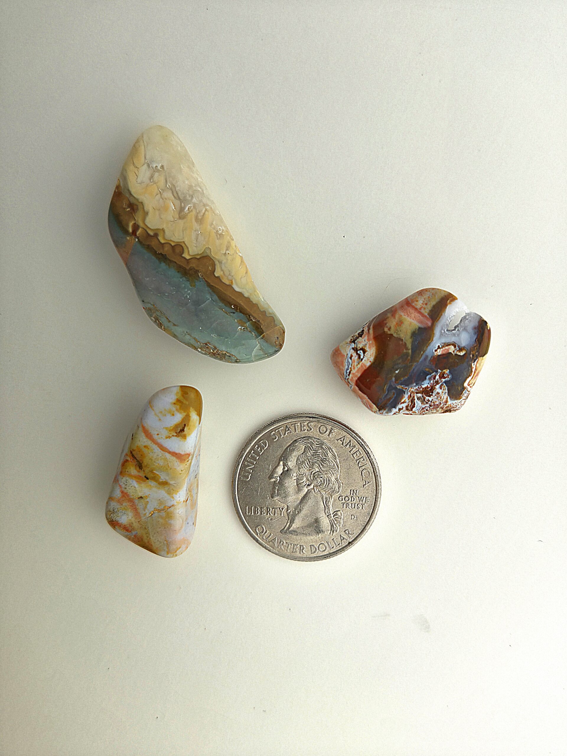 Fall Magnet 3-Pack #14