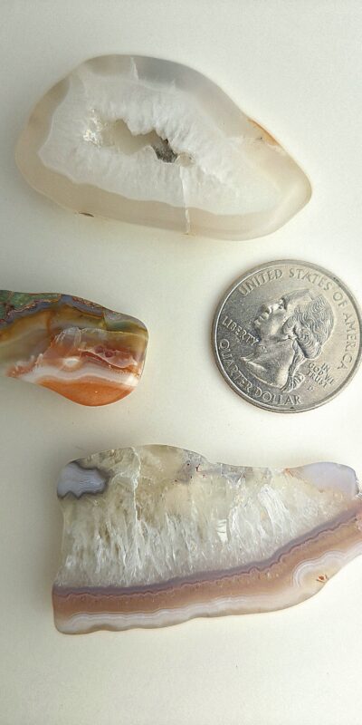 Fall Magnet 3-Pack #17