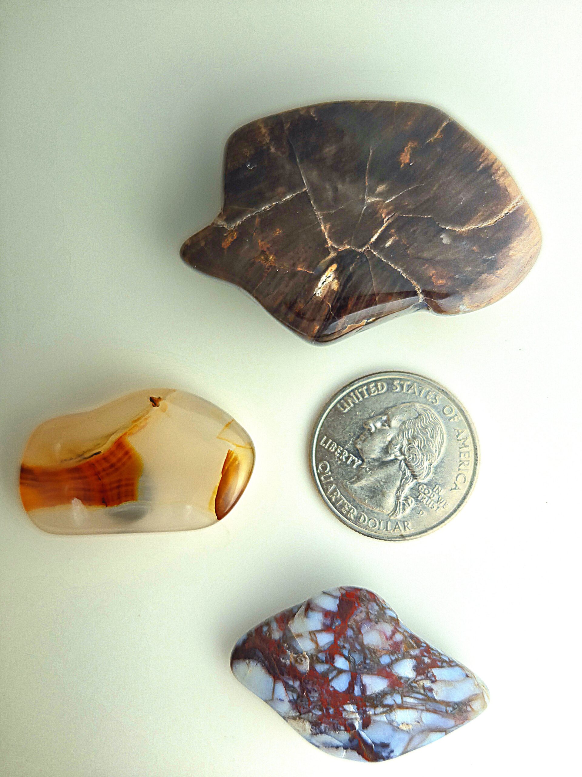 Fall Magnet 3-Pack #18