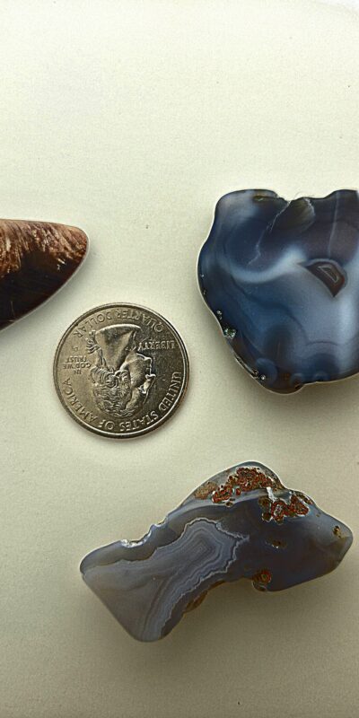 Fall Magnet 3-Pack #6