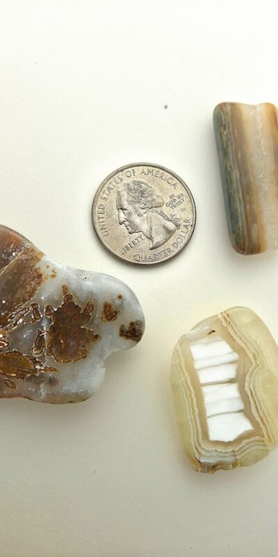 Fall Magnet 3-Pack #19