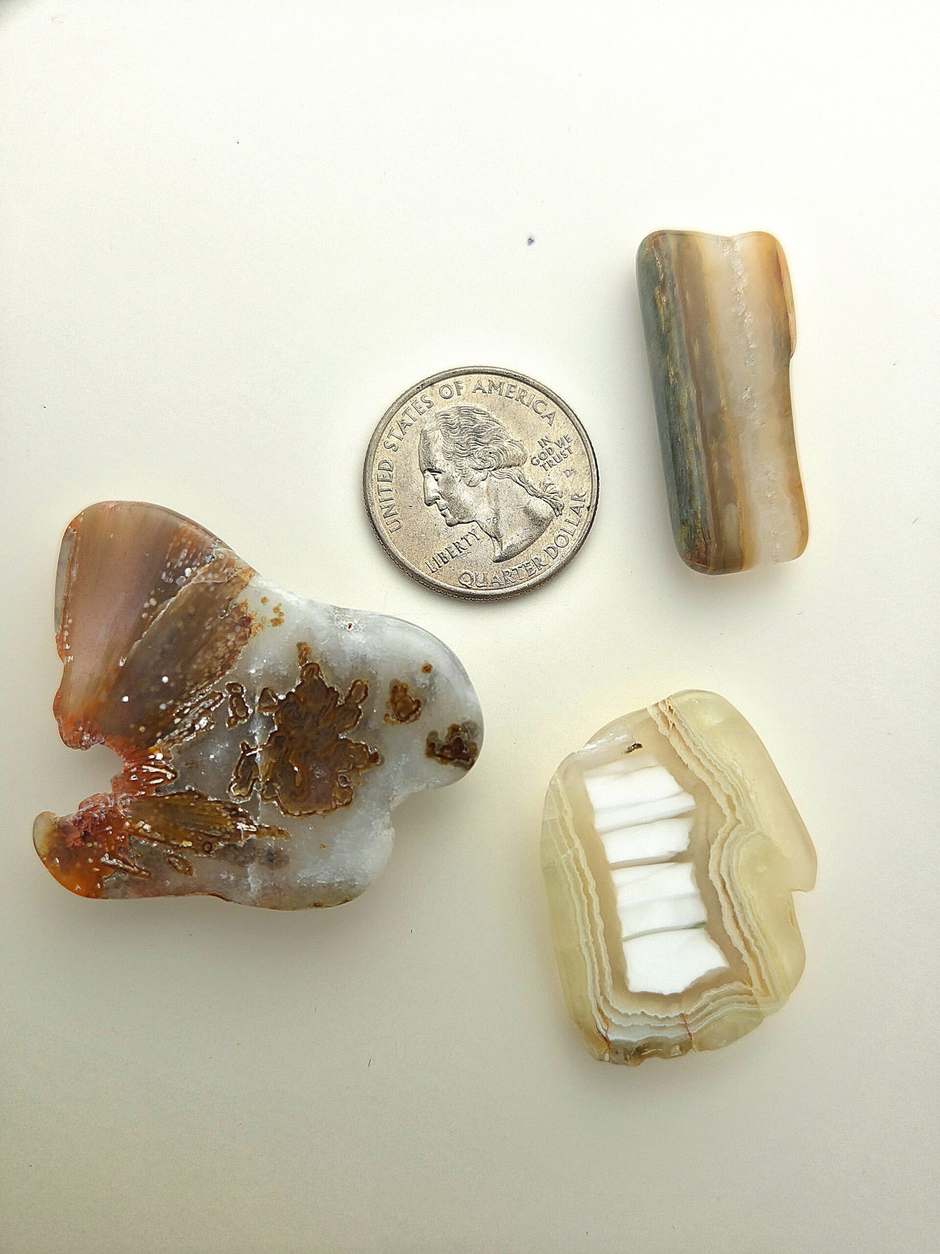 Fall Magnet 3-Pack #19