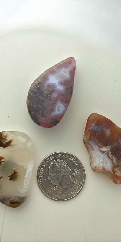 Fall Magnet 3-Pack #20