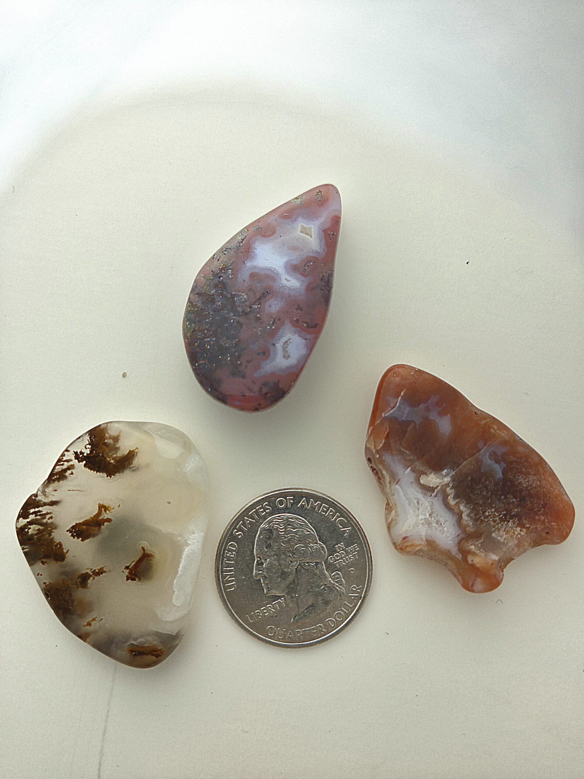 Fall Magnet 3-Pack #20