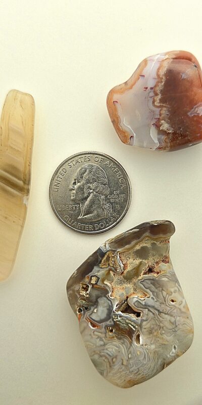 Fall Magnet 3-Pack #21