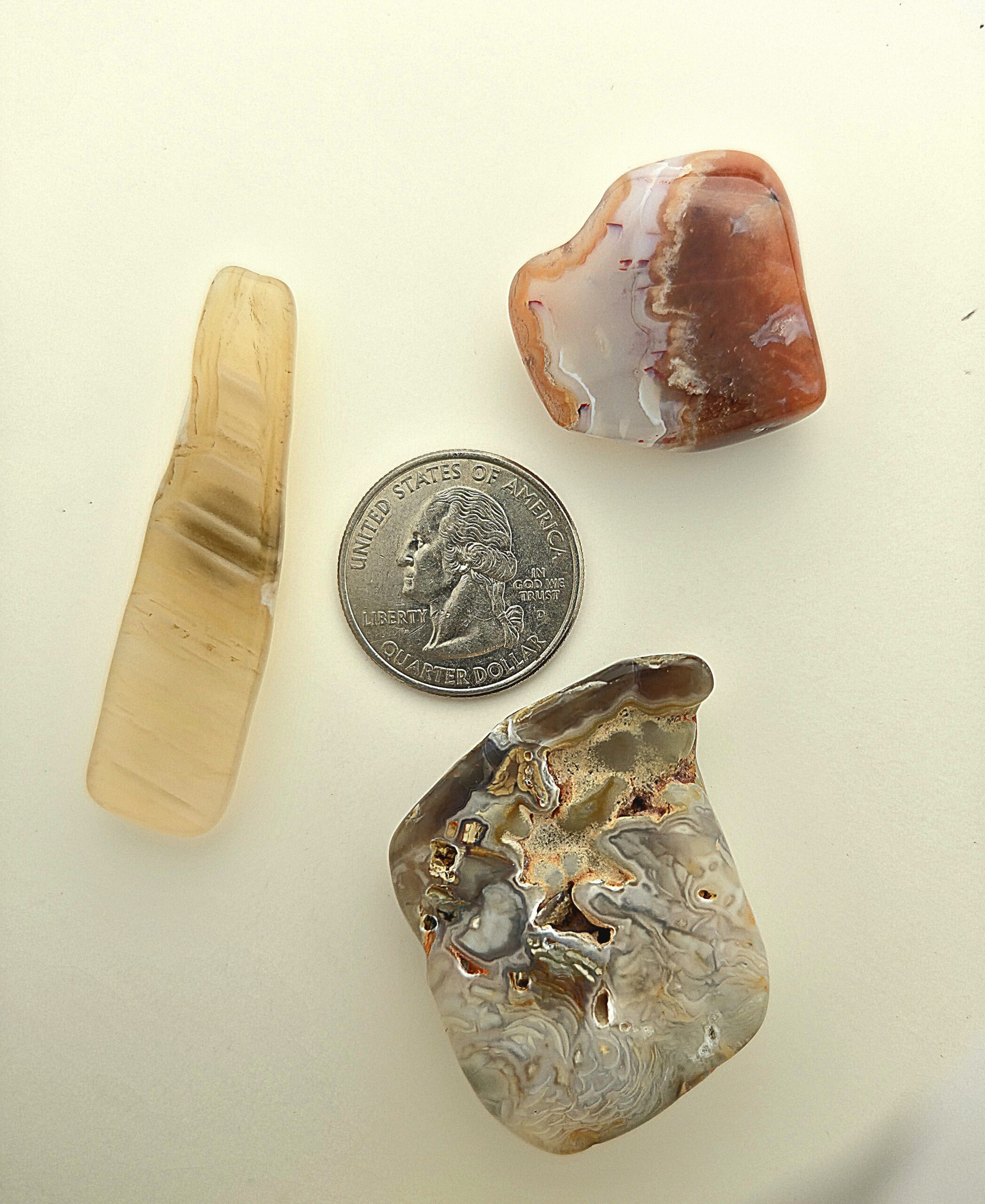 Fall Magnet 3-Pack #21