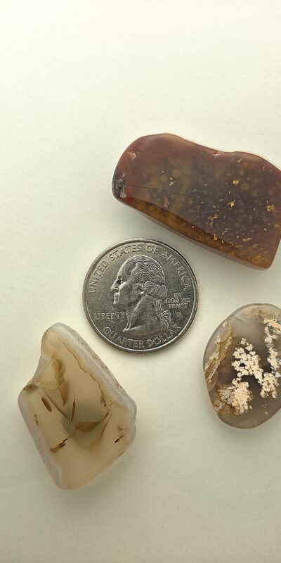 Fall Magnet 3-Pack #30