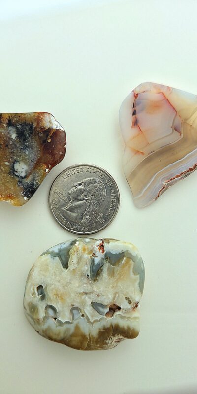 Fall Magnet 3-Pack #3