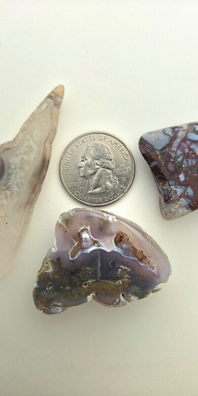 Fall Magnet 3-Pack #12