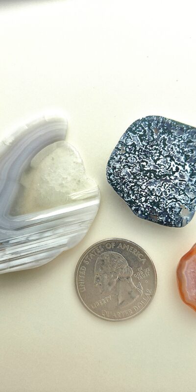 Fall Magnet 3-Pack #22