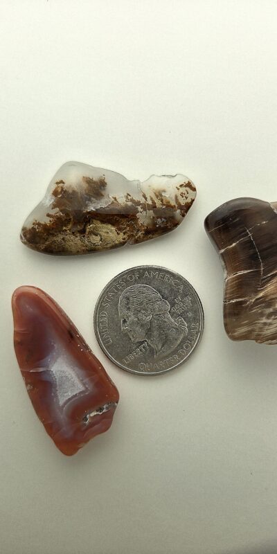 Fall Magnet 3-Pack #7