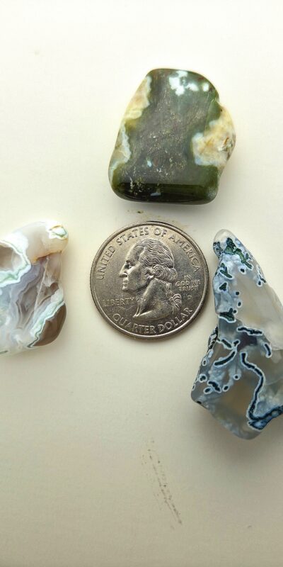 Fall Magnet 3-Pack #23