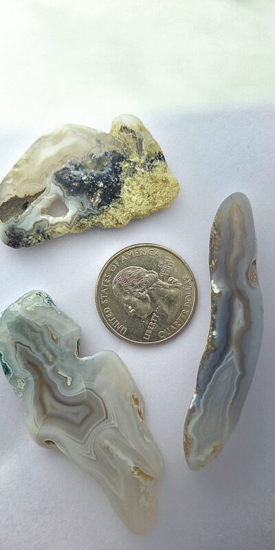 Fall Magnet 3-Pack #5