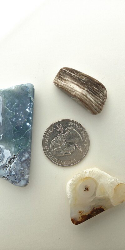 Fall Magnet 3-Pack #4