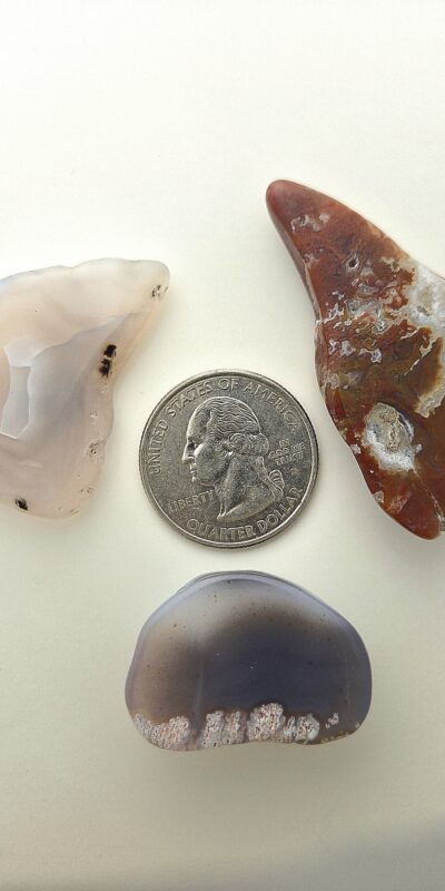 Fall Magnet 3-Pack #24