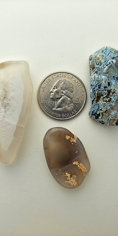 Fall Magnet 3-Pack #25