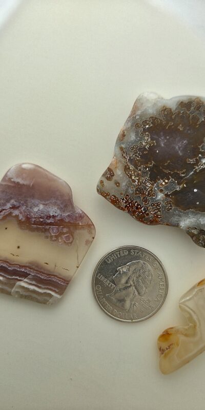 Fall Magnet 3-Pack #26