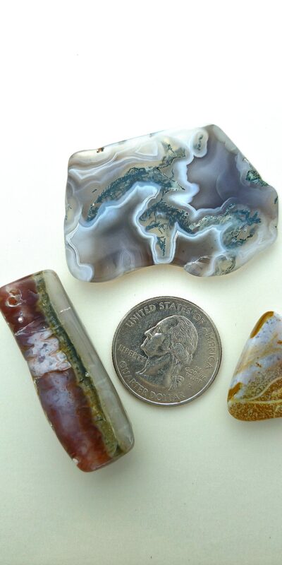 Fall Magnet 3-Pack #2