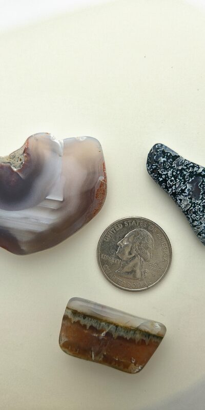 Fall Magnet 3-Pack #8