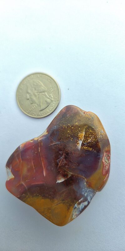 Fall Palm Stone #2 (Jasper)