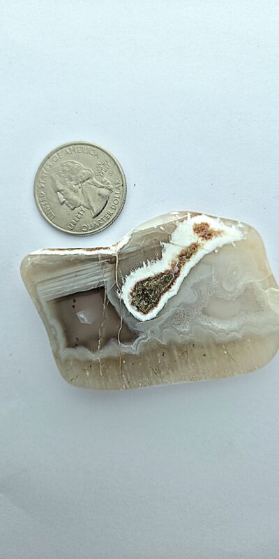 Fall Palm Stone #4 (Purple-Smoke Banded Plume)