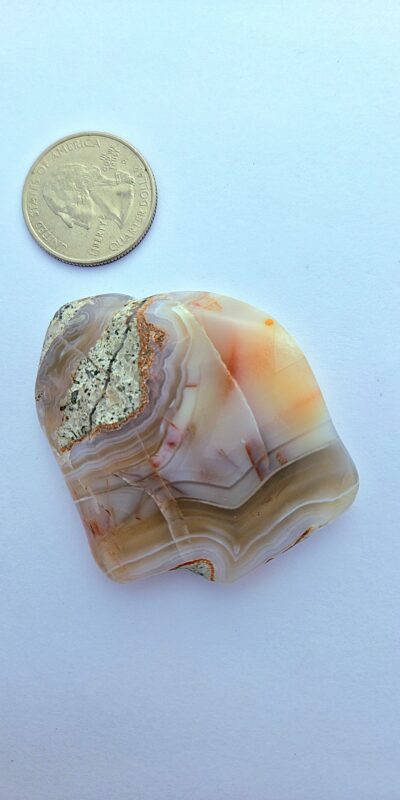 Fall Palm Stone #6 (Banded Blood-Mark Agate)