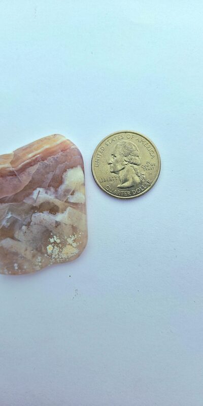 Fall Palm Stone #5 (Dendritic-Banded Rose Quartz)