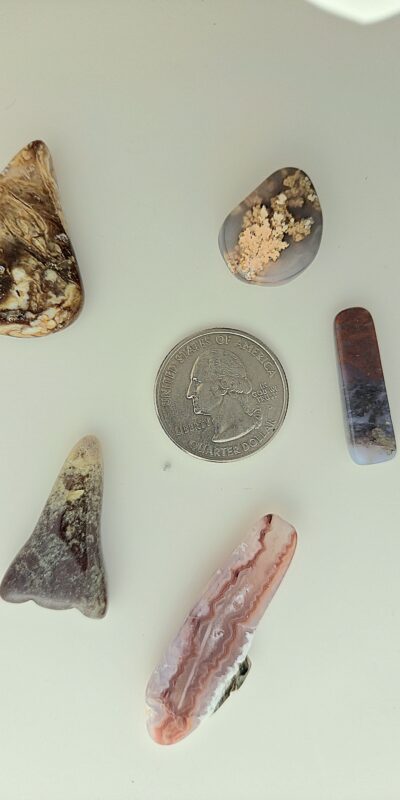 Fall Cabochon 5-Pack #10